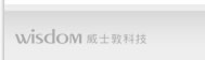 威士敦科技
